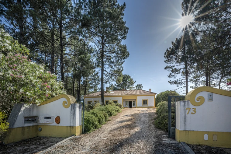 Moradia T6 para Venda em Santa Maria do Castelo e Santiago e Santa Susana Foto 23