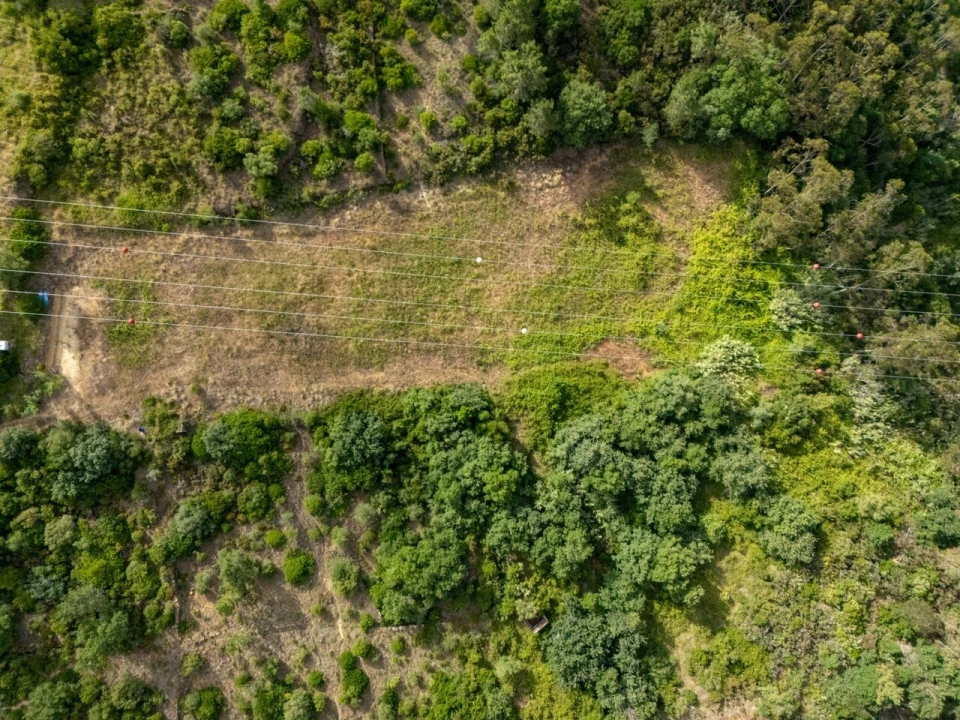 Terreno para Venda em Mafra Foto 1