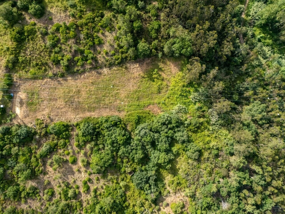 Terreno para Venda em Mafra Foto 2