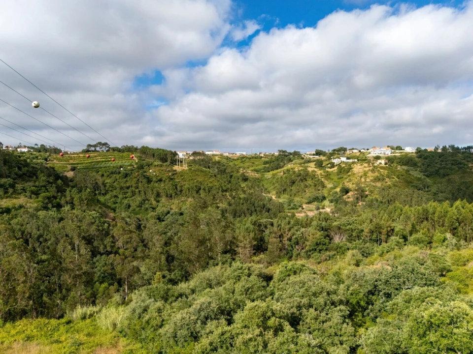 Terreno para Venda em Mafra Foto 12
