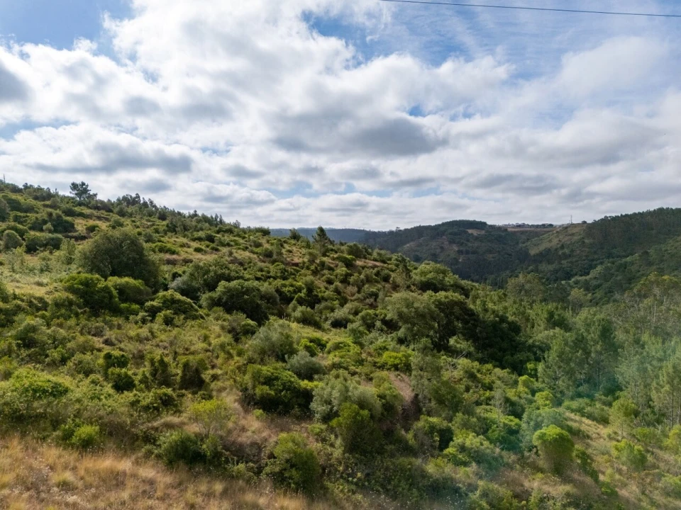 Terreno para Venda em Mafra Foto 13