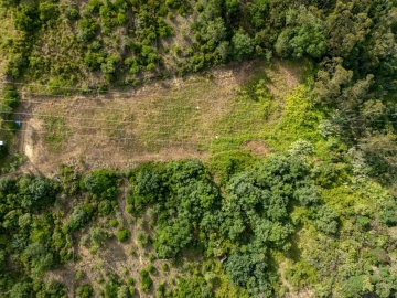 Terreno para Venda em Mafra