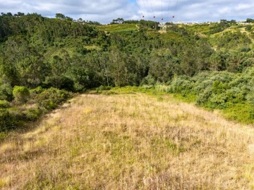 Terreno para Venda em Mafra