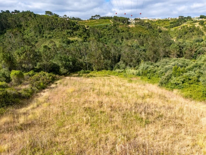 Terreno para Venda em Mafra Foto 10