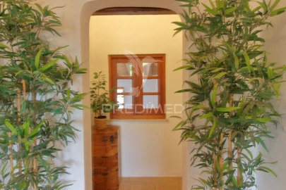 Quinta T5 para Venda em Ourique