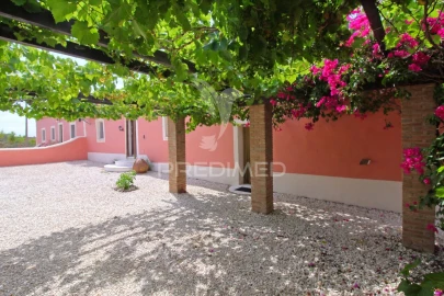 Quinta T5 para Venda em Ourique