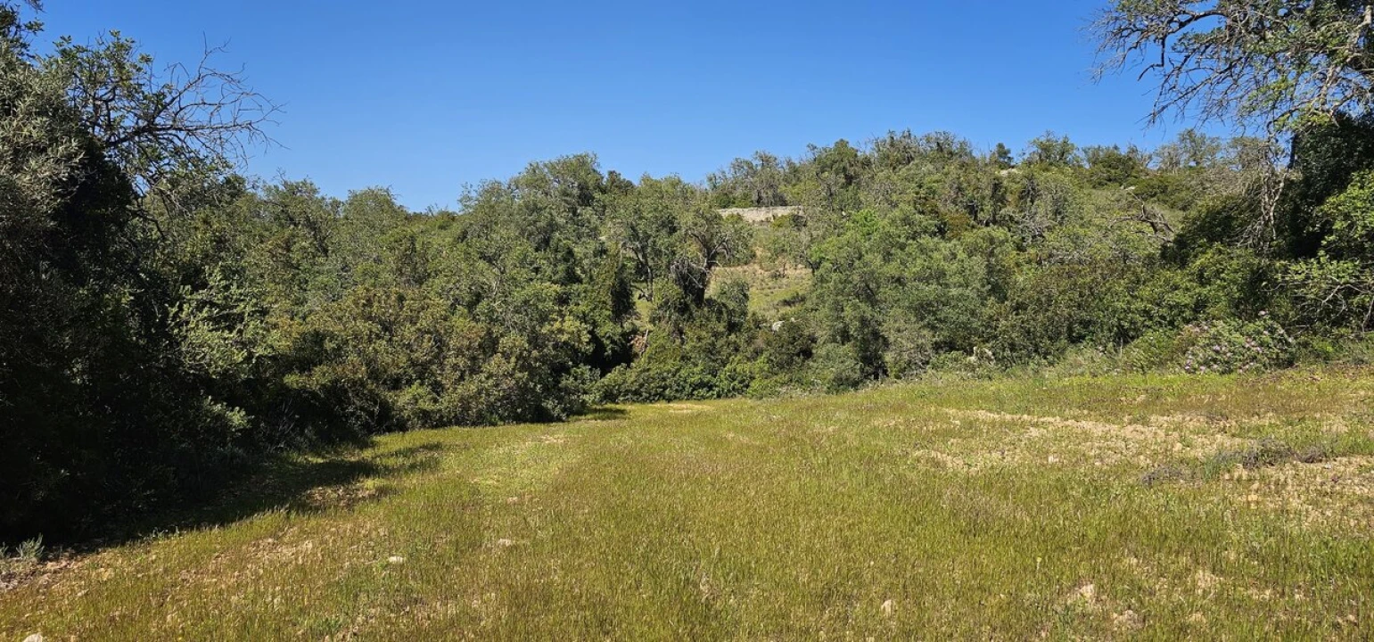 Terreno para Venda em Paderne Foto 4