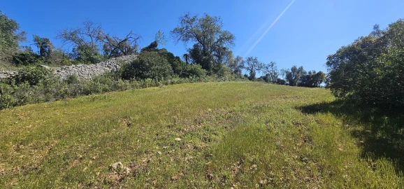 Terreno para Venda em Paderne