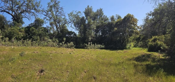 Terreno para Venda em Paderne