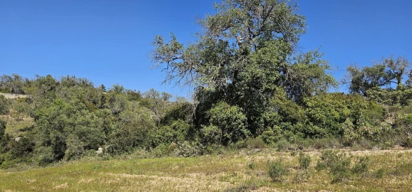 Terreno para Venda em Paderne