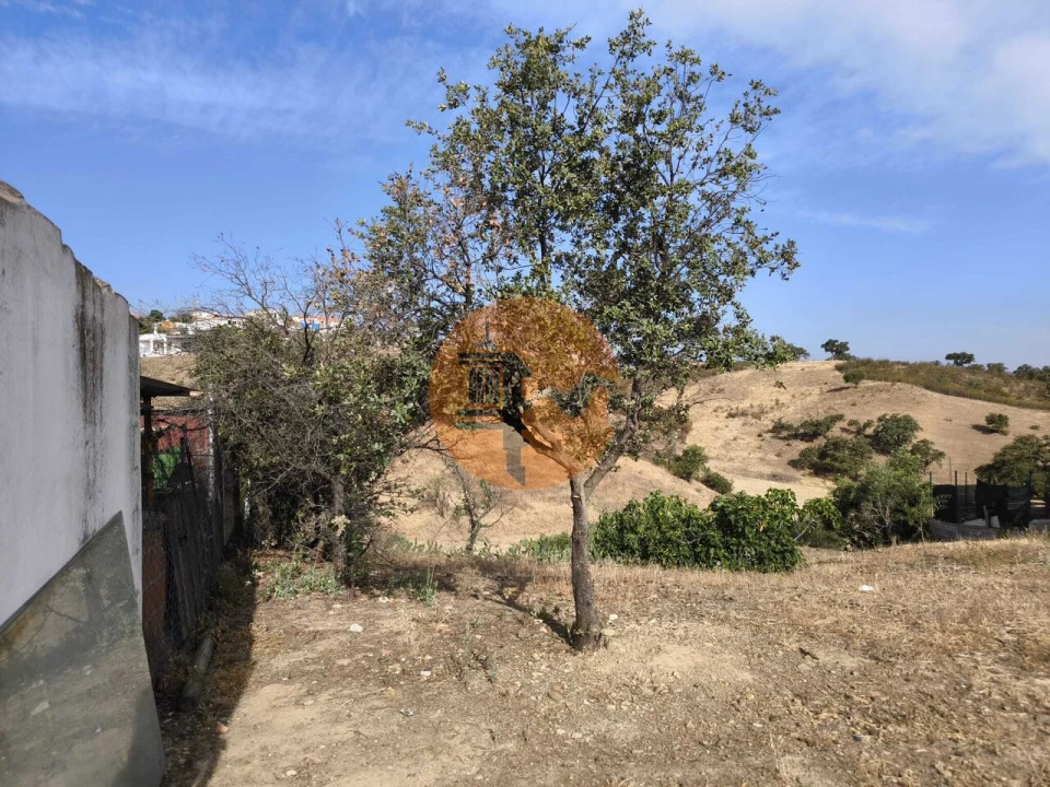 Terreno para Venda em Azinhal Foto 62