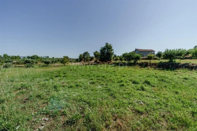 Terreno para Venda em Peraboa