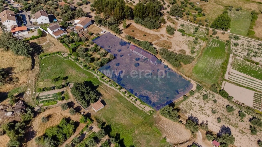 Terreno para Venda em Peraboa Foto 2