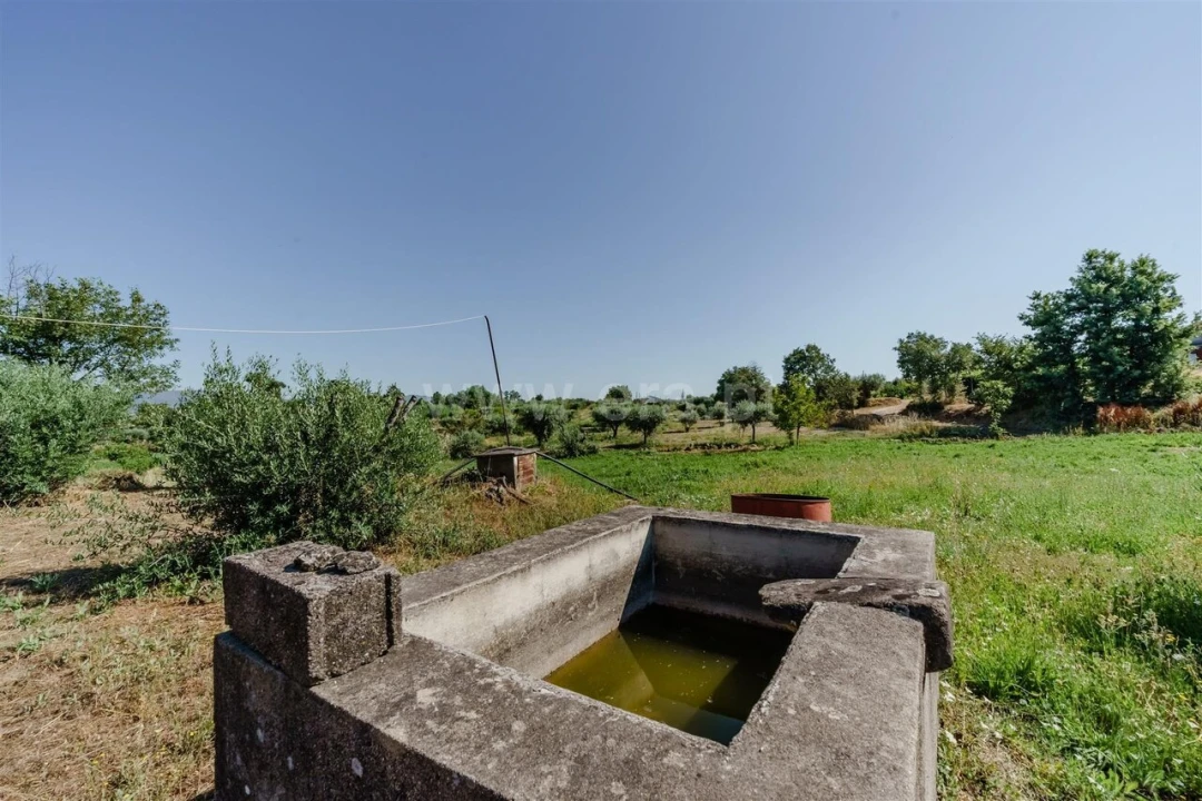 Terreno para Venda em Peraboa Foto 12