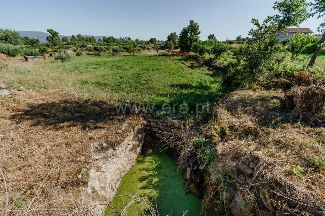 Terreno para Venda em Peraboa Foto 9
