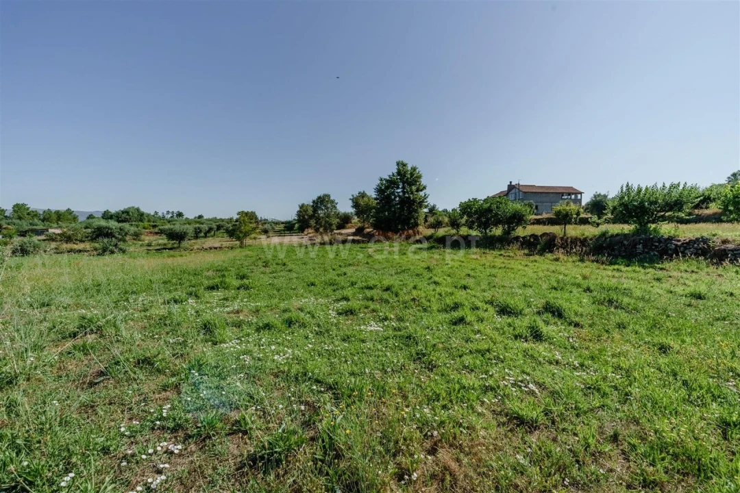 Terreno para Venda em Peraboa Foto 10