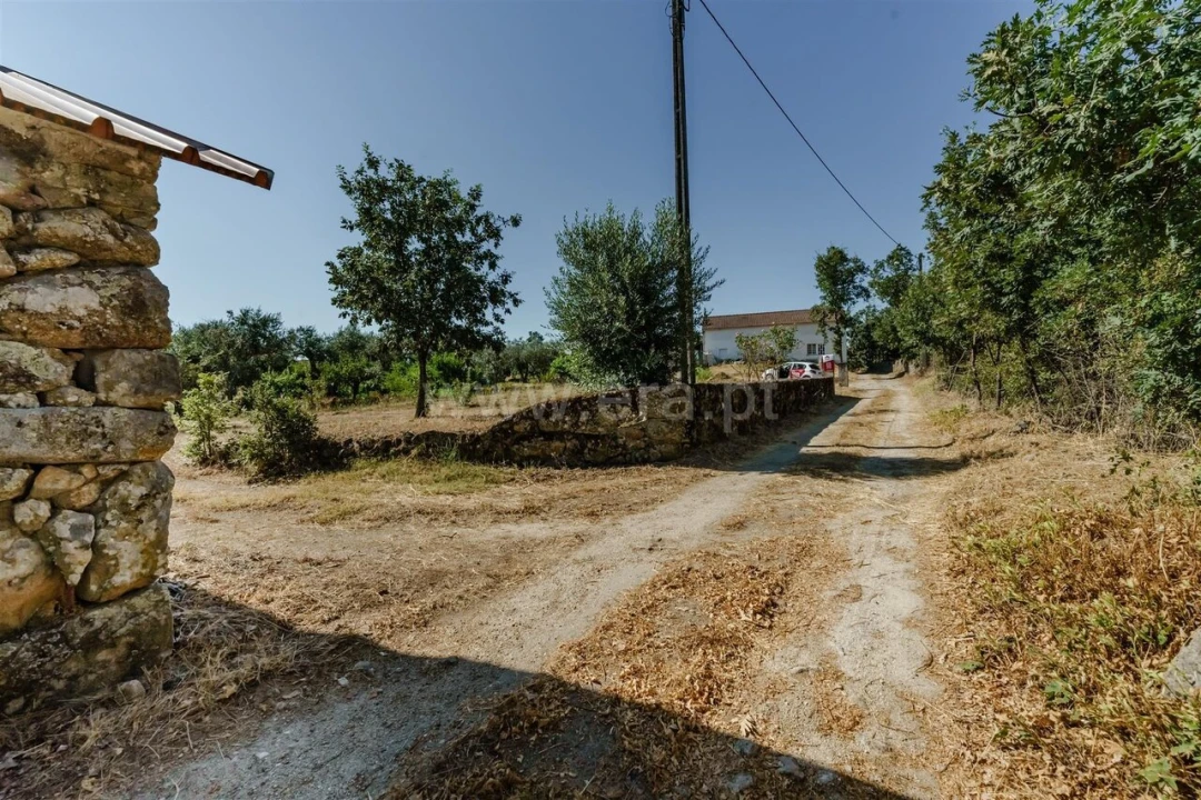 Terreno para Venda em Peraboa Foto 16