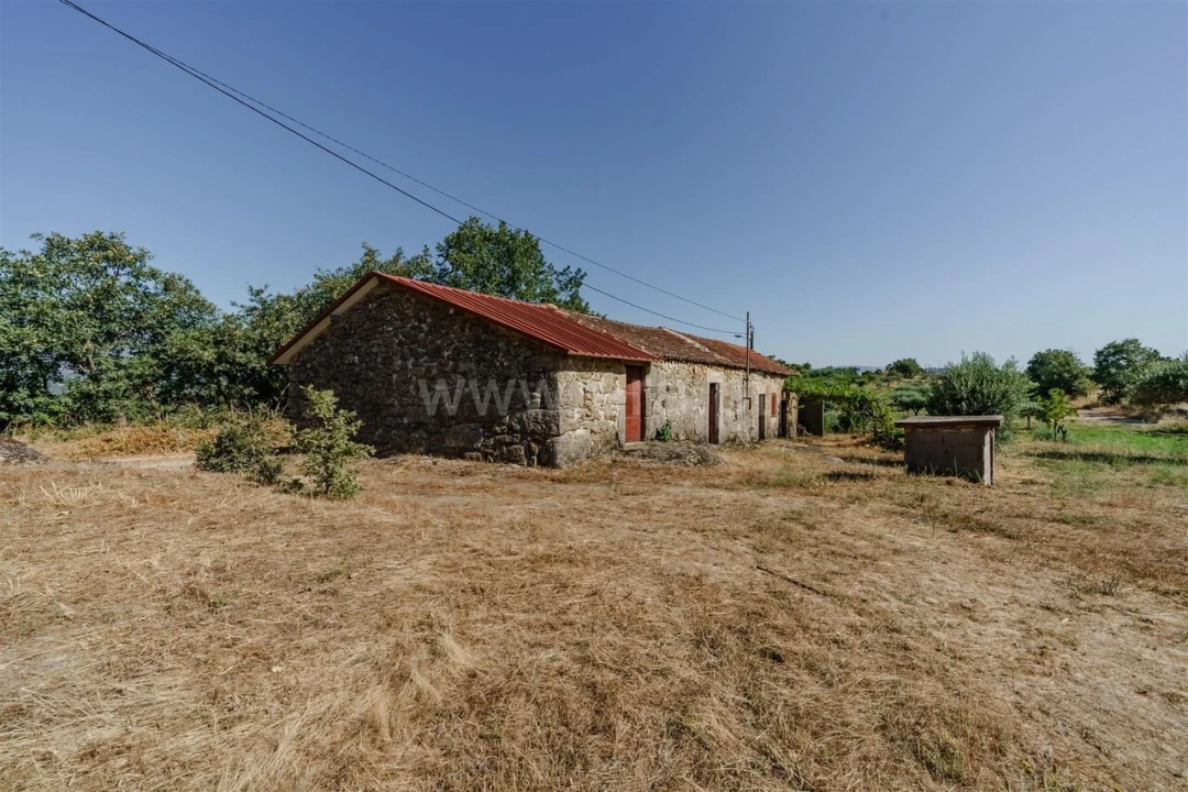 Terreno para Venda em Peraboa Foto 6