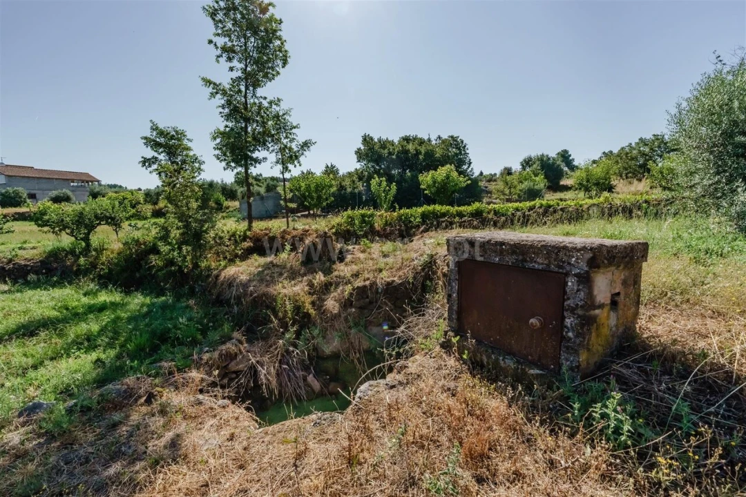 Terreno para Venda em Peraboa Foto 8