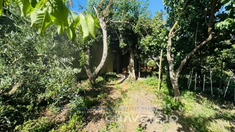 Quinta T2 para Venda em Pussos São Pedro