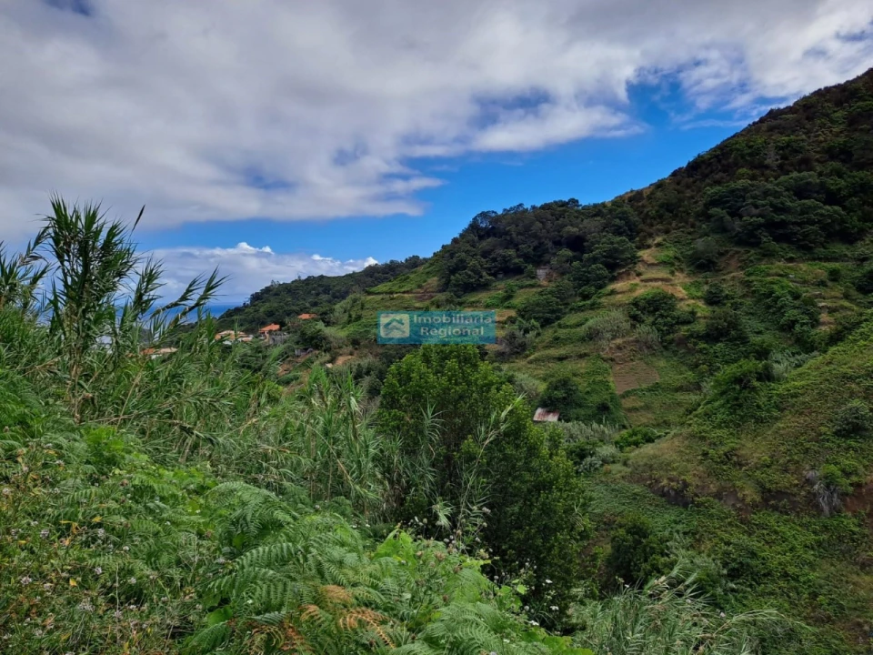 Terreno para Venda em Porto da Cruz Foto 4