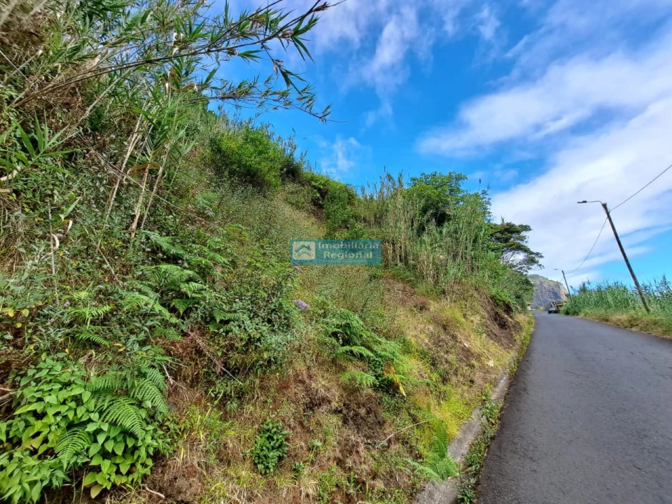 Terreno para Venda em Porto da Cruz Foto 8