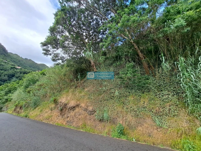 Terreno para Venda em Porto da Cruz Foto 7