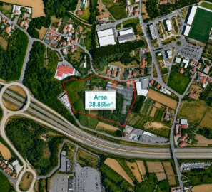 Terreno para Venda em Nogueira e Silva Escura
