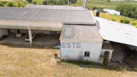 Loja para Venda em Bombarral e Vale Covo