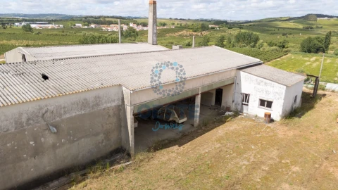 Loja para Venda em Bombarral e Vale Covo