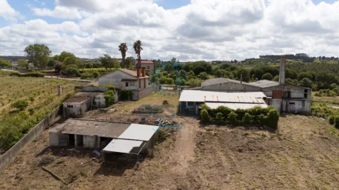 Loja para Venda em Bombarral e Vale Covo