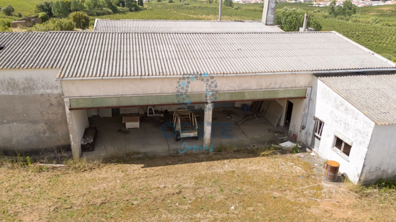 Loja para Venda em Bombarral e Vale Covo Foto 17