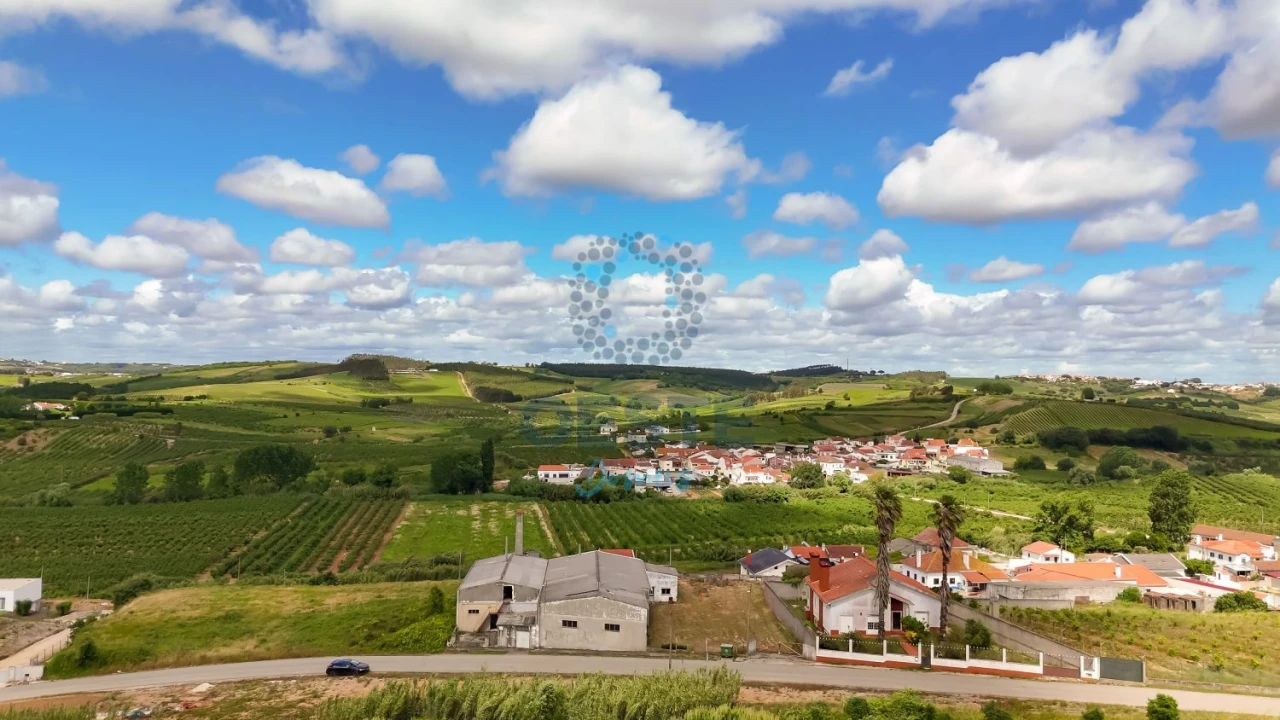Loja para Venda em Bombarral e Vale Covo Foto 5