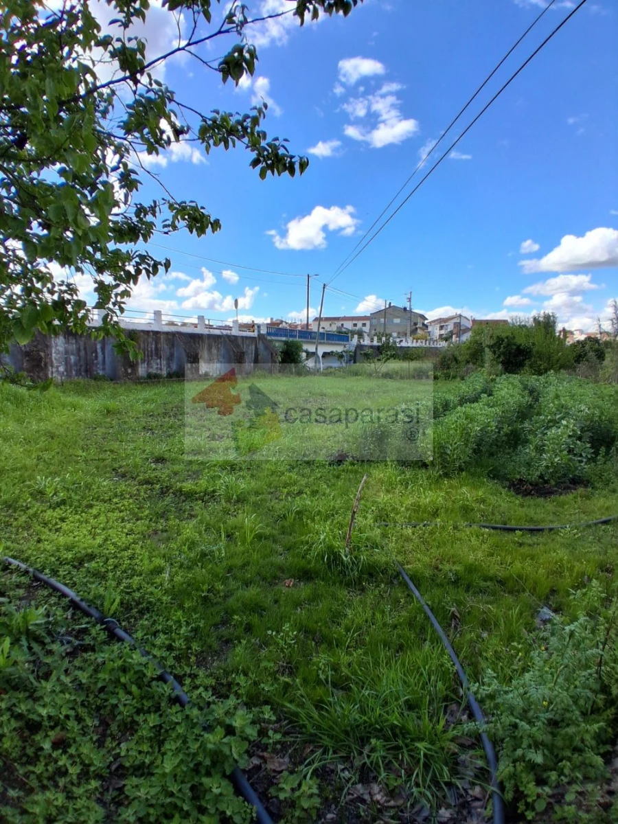 Moradia T2 para Venda em Ponte de Sor, Tramaga e Vale de Açor Foto 3