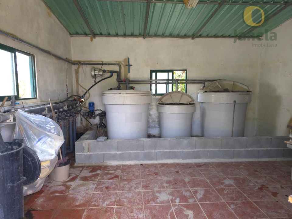 Quinta T5 para Venda em Pechão Foto 5