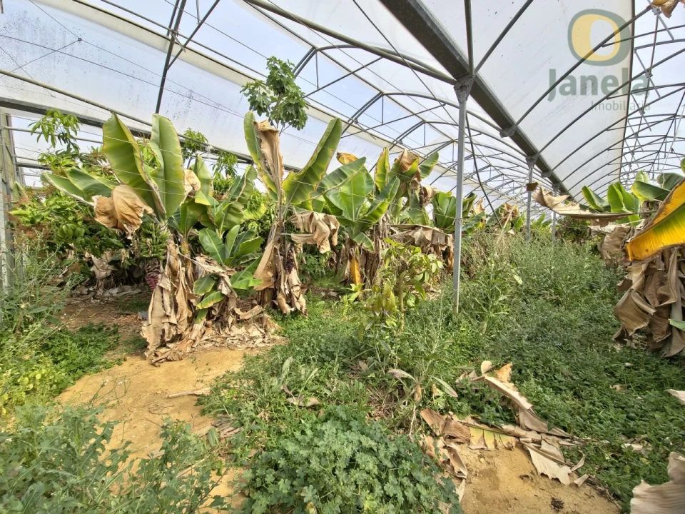 Quinta T5 para Venda em Pechão Foto 10