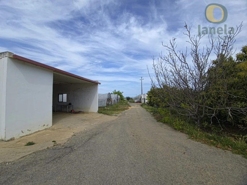 Quinta T5 para Venda em Pechão Foto 13