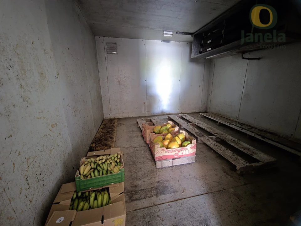 Quinta T5 para Venda em Pechão Foto 16