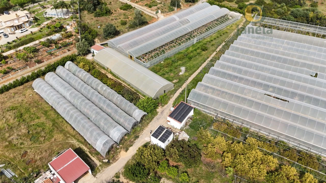 Quinta T5 para Venda em Pechão Foto 1