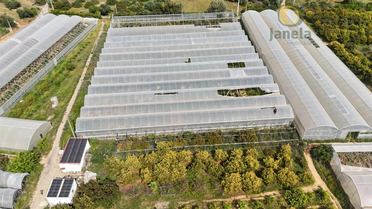 Quinta T5 para Venda em Pechão Foto 26