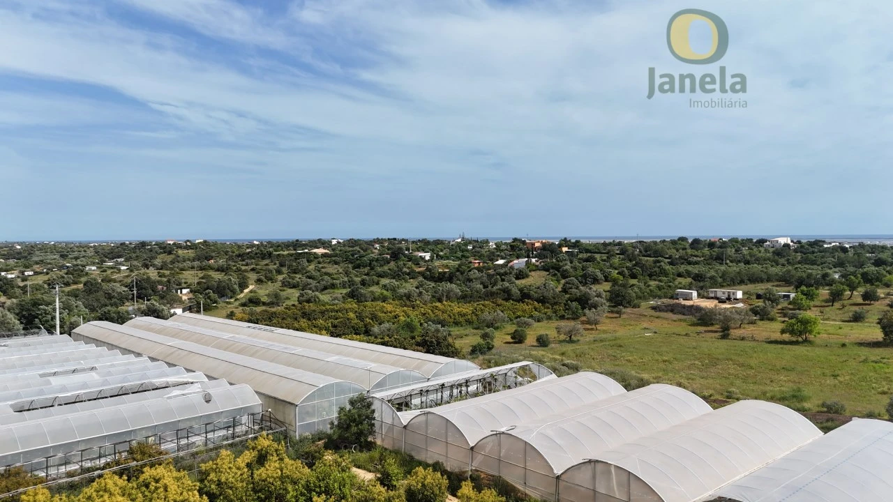 Quinta T5 para Venda em Pechão Foto 28