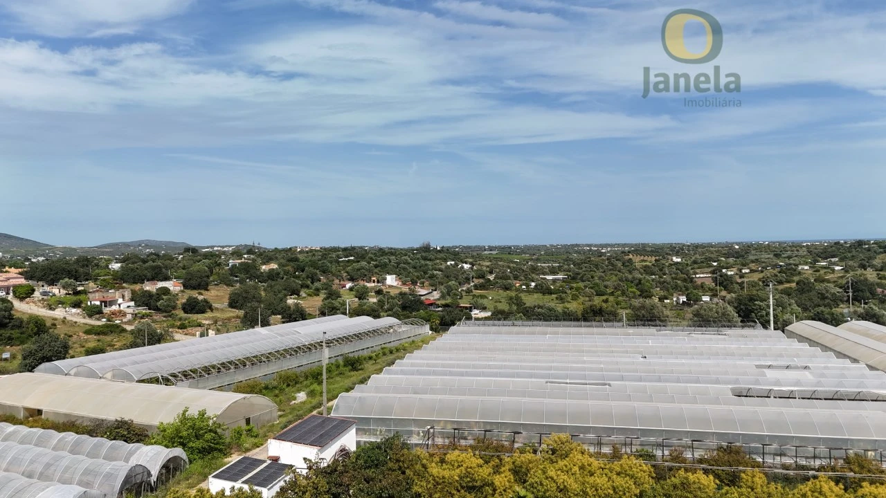 Quinta T5 para Venda em Pechão Foto 29