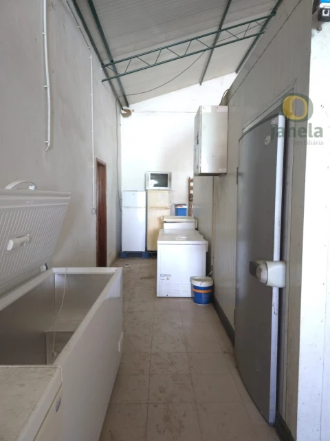 Quinta T5 para Venda em Pechão