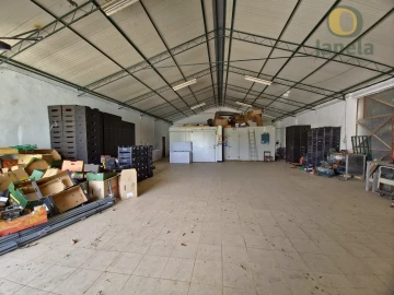 Quinta T5 para Venda em Pechão