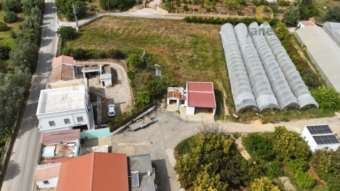 Quinta T5 para Venda em Pechão