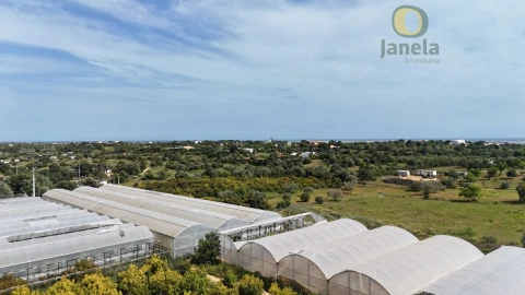 Quinta T5 para Venda em Pechão