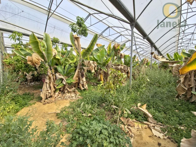 Quinta T5 para Venda em Pechão Foto 10