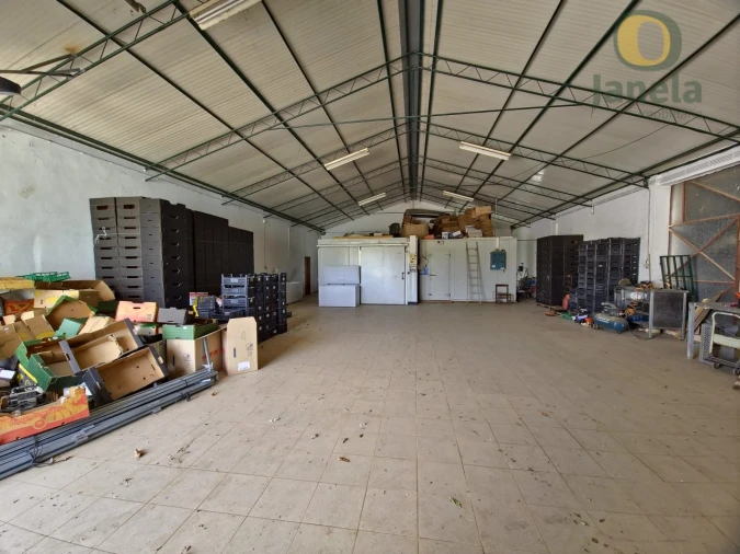 Quinta T5 para Venda em Pechão Foto 21