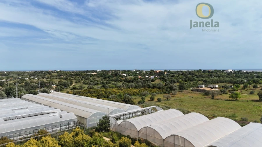 Quinta T5 para Venda em Pechão Foto 28
