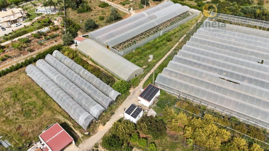 Quinta T5 para Venda em Pechão